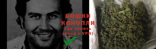 индика Михайловск