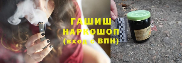 индика Михайловск