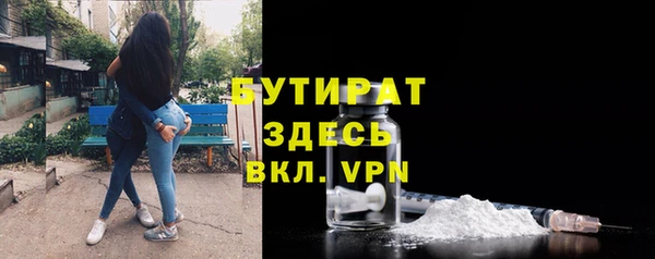 индика Михайловск