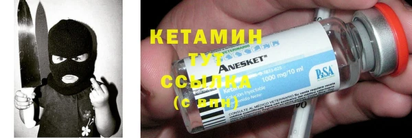 индика Михайловск