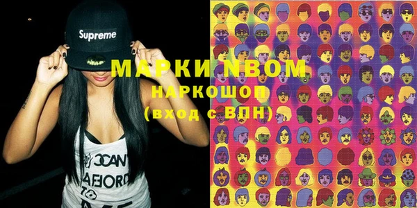 прущие грибы Мегион