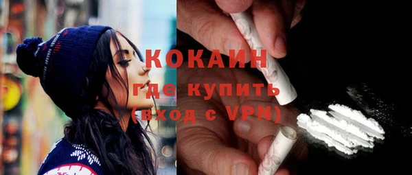 прущие грибы Мегион