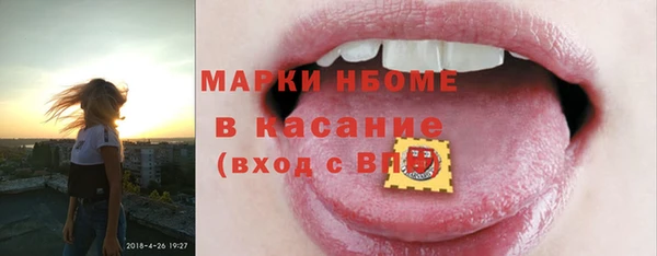 индика Вязьма