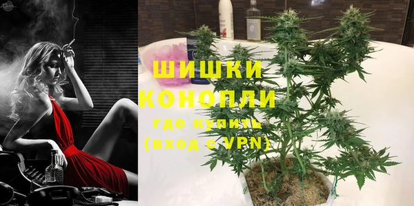 прущие грибы Мегион