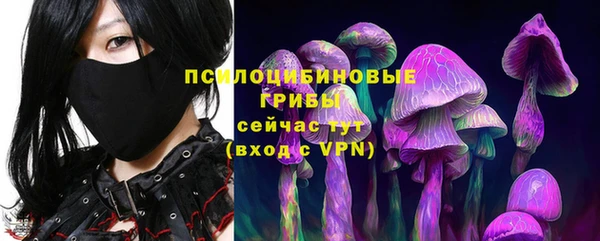 прущие грибы Мегион