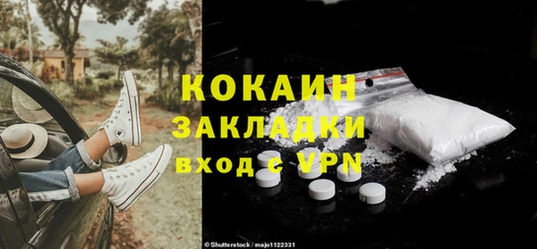 индика Михайловск