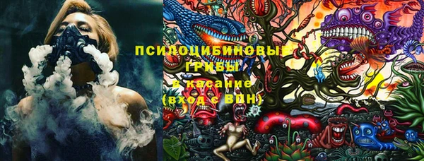 ПСИЛОЦИБИНОВЫЕ ГРИБЫ Вязники