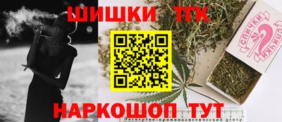 индика Жуковский