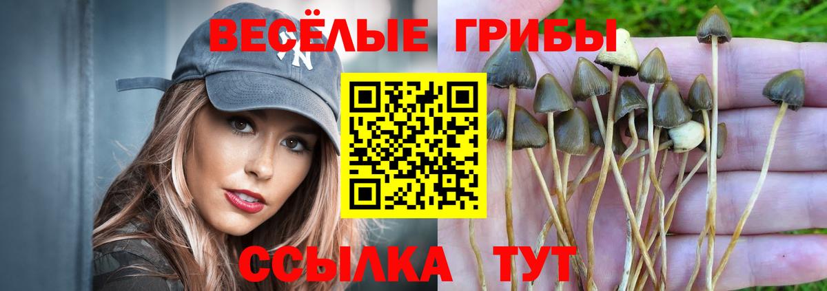 Псилоцибиновые грибы ЛСД  наркотики  Мыски  Вход с VPN 