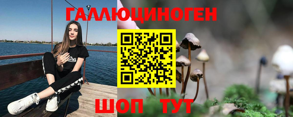 Галлюциногенные грибы Magic Shrooms Мыски